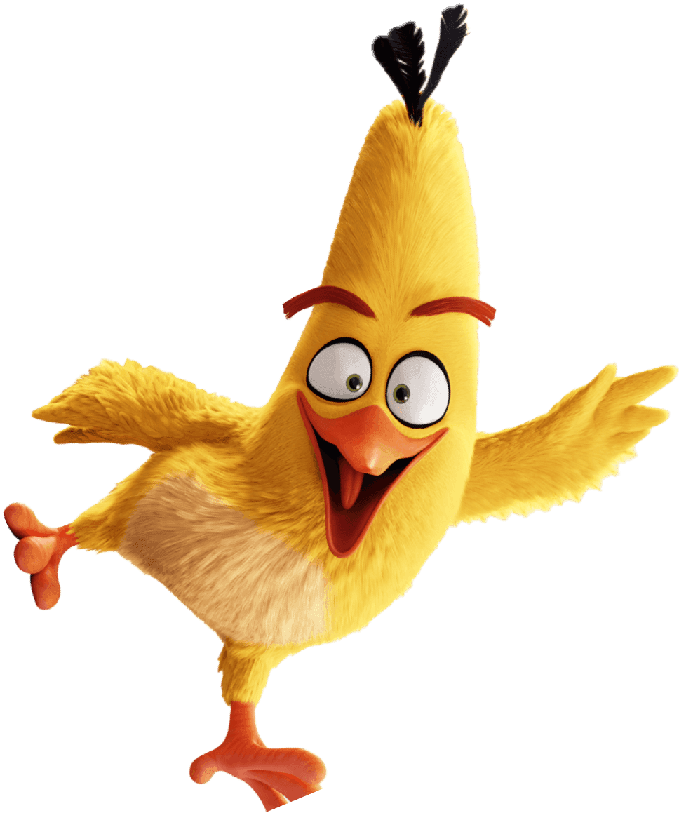 birdx2
