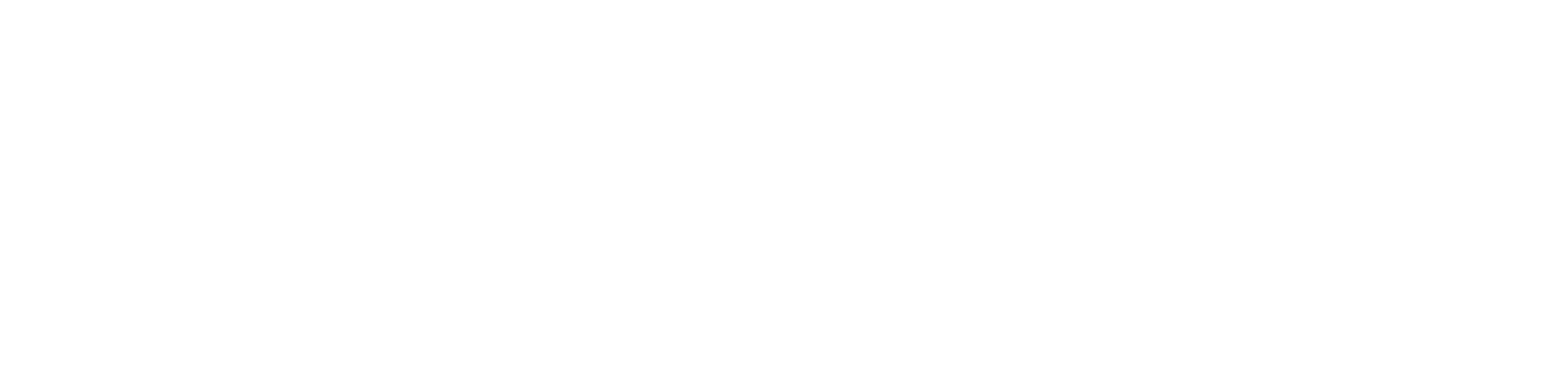 AMD Logo White
